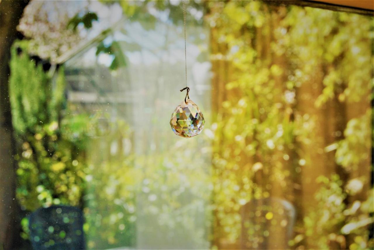 The Cottage Garden - A Herefordshire Retreat Ross-on-Wye ภายนอก รูปภาพ